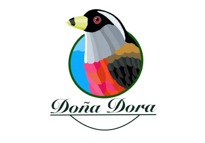 Avistamiento de Aves Doña Dora