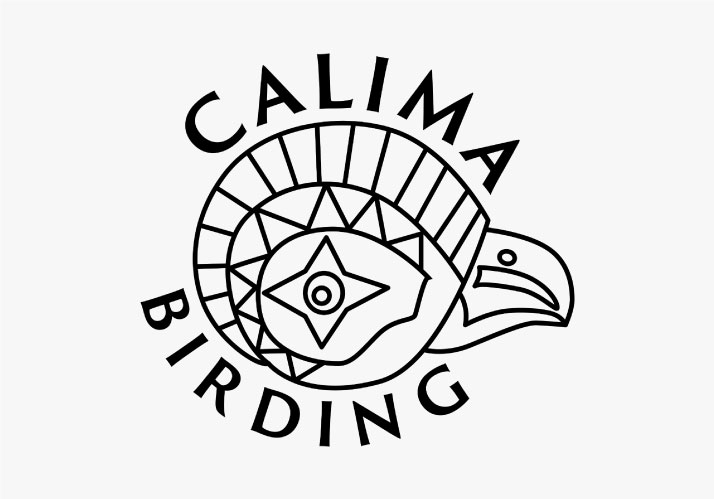 Calima Birding