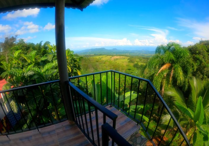 Finca alquiler Victoria Caldas