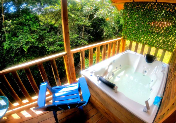 Ecohotel Victoria Caldas